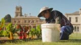 Gardening Australia 35-36